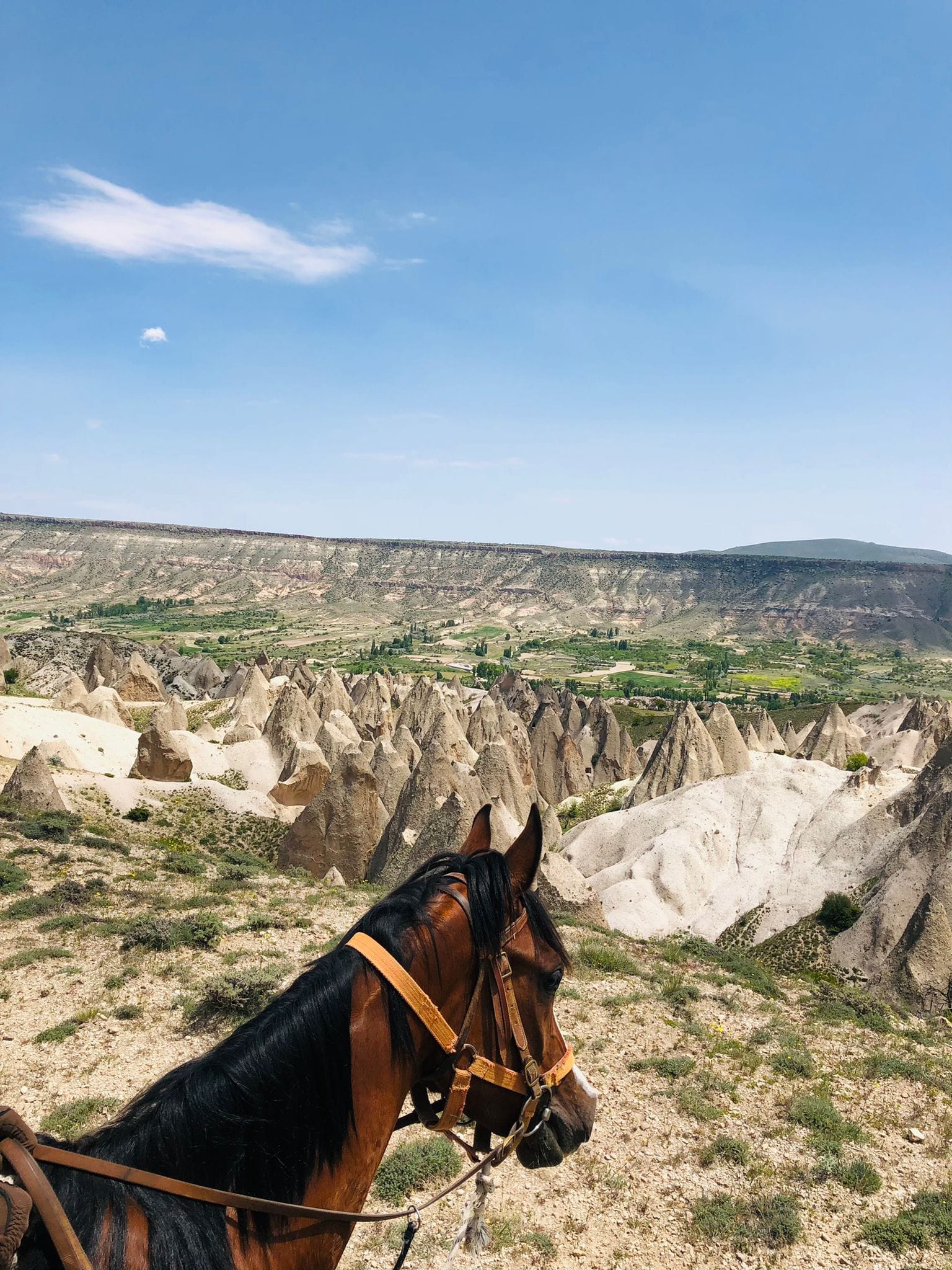 horse riding in cappadocia turkey