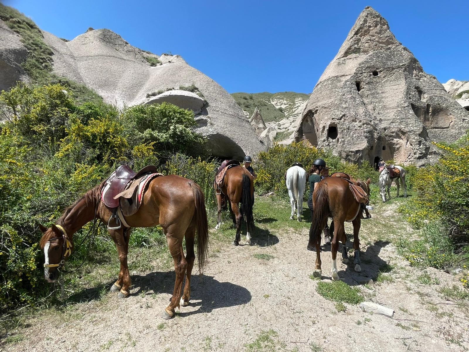 1 Hour Cappadocia Horse Riding Tours