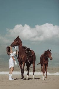 cappadocia horseback riding experience