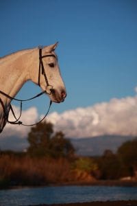 cappadocia balloon view horse riding