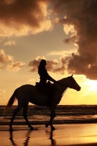 sunset horse tour