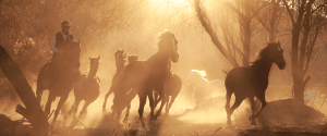 Horse Riding Cappadocia