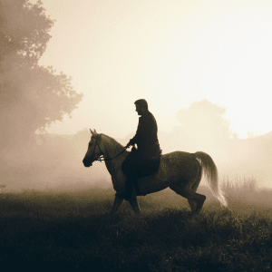 1 hour horse riding