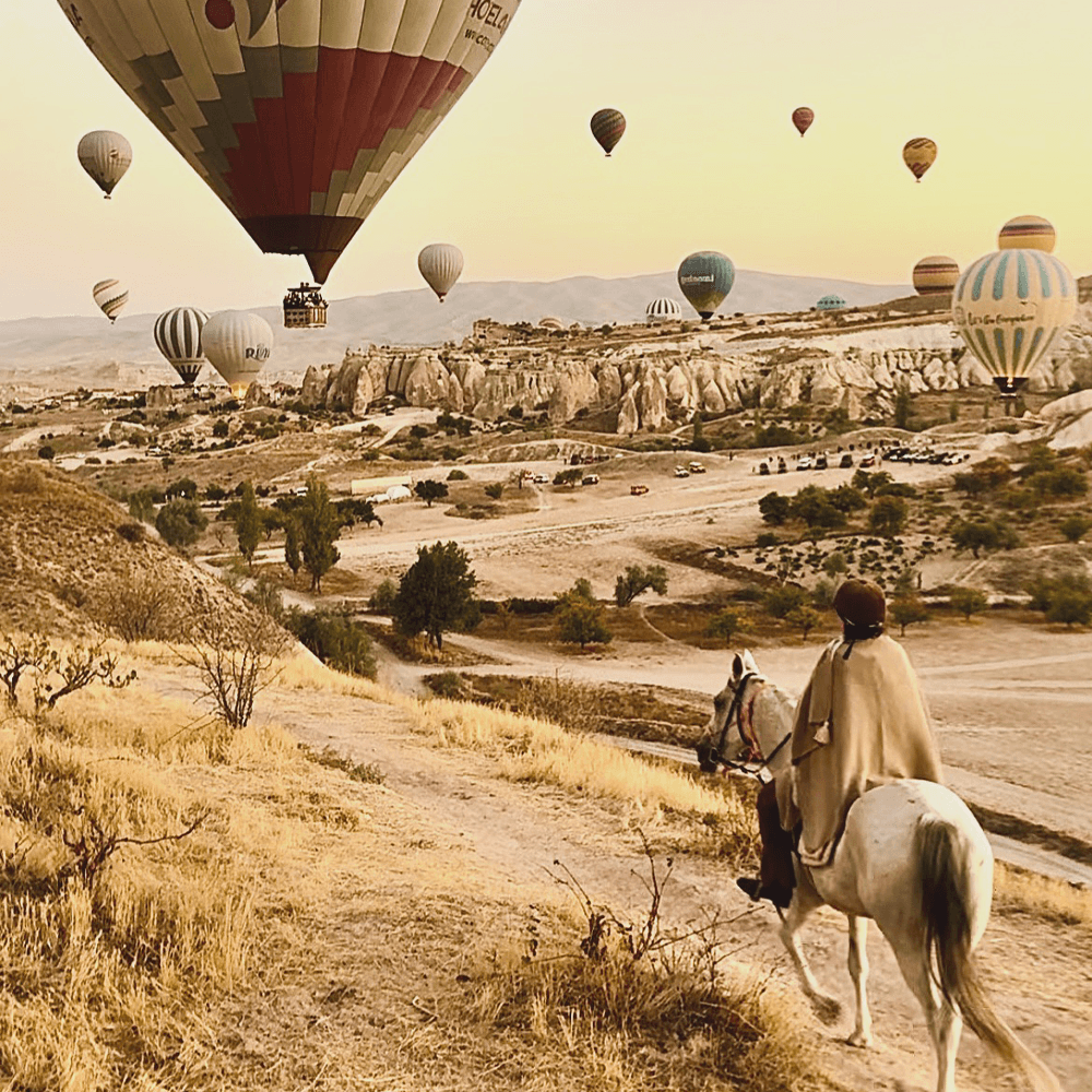 Sunrise Horse riding tour